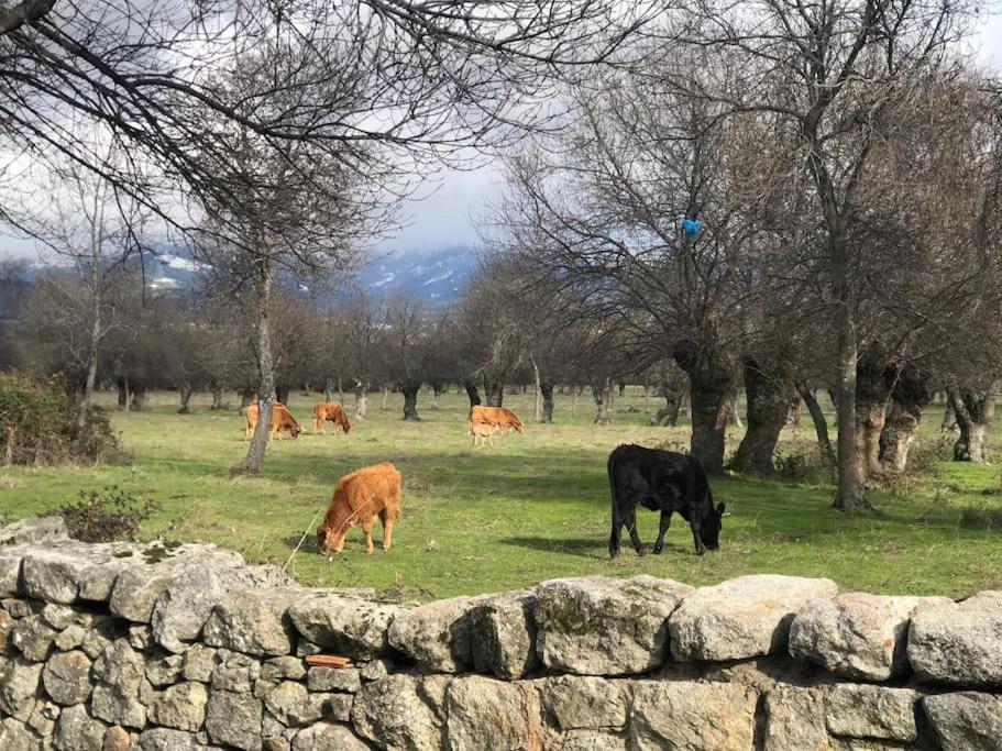 Апартаменты Guadarrama, Atico Nuevo Con Espectaculares Vistas Экстерьер фото